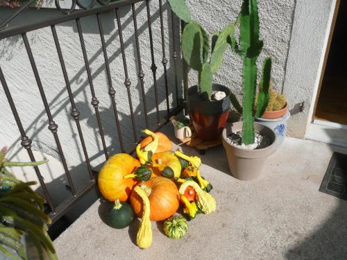 a pile of pumpkins and vegetables on a balcony at Maison d'Hôtes LA JEANCOISE in Nonville