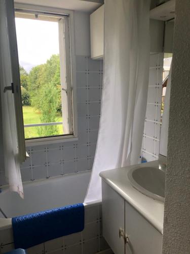 ein Badezimmer mit Duschvorhang und Waschbecken in der Unterkunft Les Jardins du Casino T2 bis- 4 personnes-Tarif cures 700 euros in Luchon