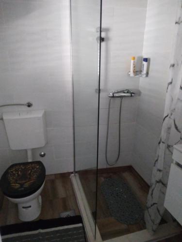 Apartman DOTA