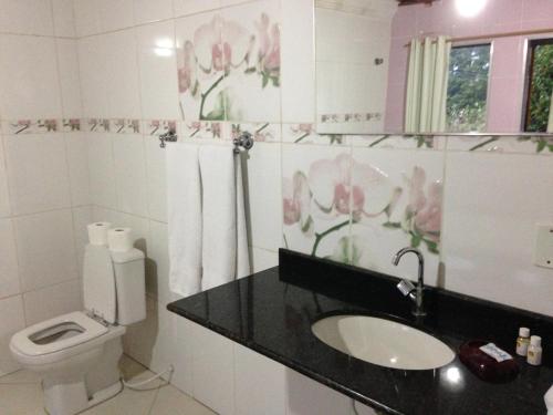 ein Badezimmer mit Waschbecken und Toilette in der Unterkunft Pousada Canto das Corujas in São Roque