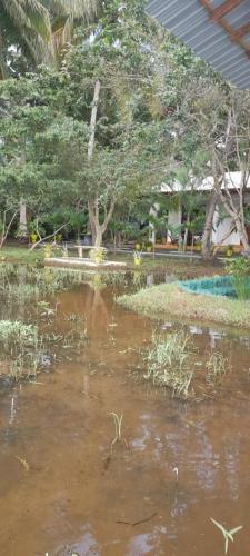 Příroda nedaleko ubytování v soukromí