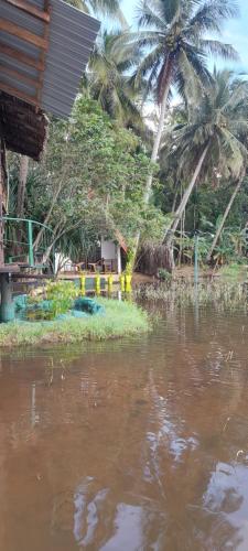 Příroda nedaleko ubytování v soukromí