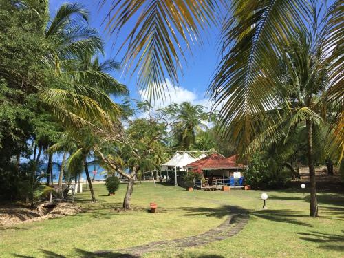 a view of a yard with palm trees and a house at Imperatrice Village - Résidence sur la plage in Les Trois-Îlets