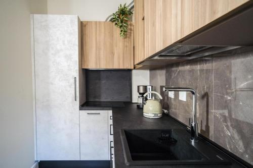 Bright Apartment 2 in Guido monaco photo 12