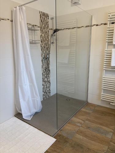 a shower with a glass door in a bathroom at Teichwies'n Alm Wilde Wunder Card in Lackenhof