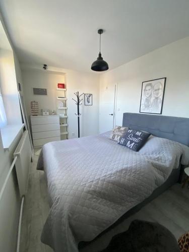 a bedroom with a large bed in a room at Apartmán Jedľa pod Tatrami in Jezersko