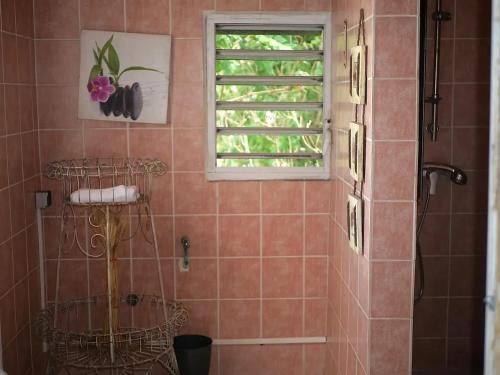 a bathroom with a shower and a window at Studio charmant près de Pointe-à-Pitre 50 m² avec balcon in Pointe-à-Pitre