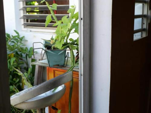 a plant sitting on a bench next to a window at Studio charmant près de Pointe-à-Pitre 50 m² avec balcon in Pointe-à-Pitre