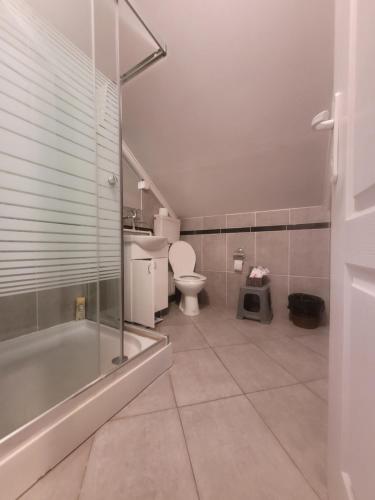 Koupelna v ubytování Koba