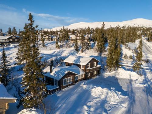 Sjumilskogen om vinteren
