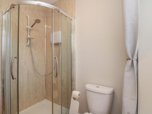 a bathroom with a shower and a toilet at Beck View in Pickering