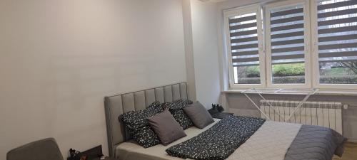 ein Schlafzimmer mit einem Bett mit schwarzen und weißen Kissen in der Unterkunft Apartament u Jacka - 400m od Zamojskiej Starówki in Zamość