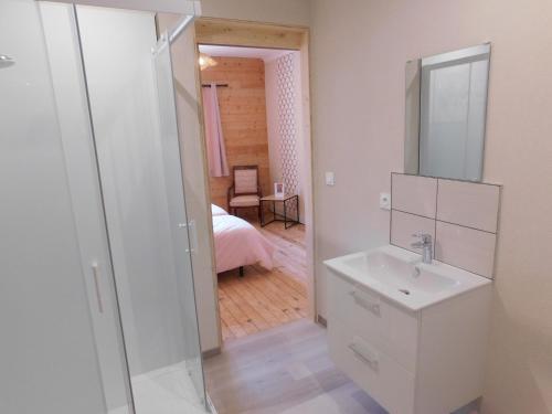 un bagno con lavandino e specchio e una camera da letto di Les Brimbelles a Brû