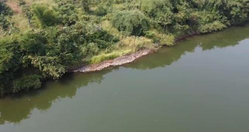 Природа в окрестностях кемпинга