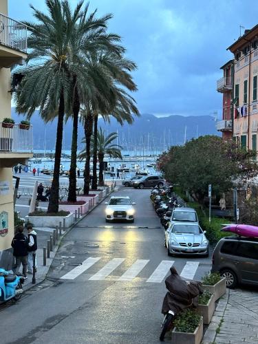 een straat met auto's die door een straat met palmbomen rijden bij Nala & Leo central Seaview Apartment in Lerici