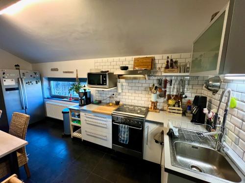 Kuchyň nebo kuchyňský kout v ubytování Asio