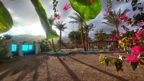 Ảnh trong thư viện ảnh của Bayt Alhout ở Nuweiba