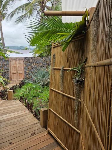 En have udenfor Kaz Bambou