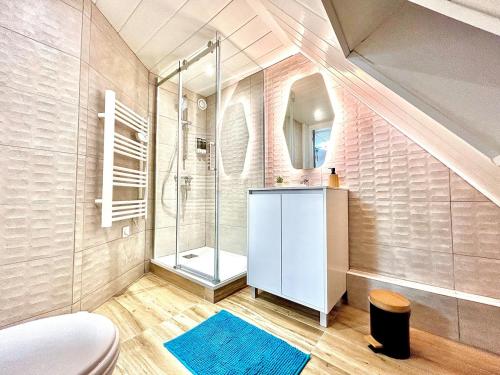 La salle de bains est pourvue d'une douche et d'un tapis bleu. dans l'établissement L'Envolée, centre ville parking gratuit, à Villeneuve-sur-Yonne