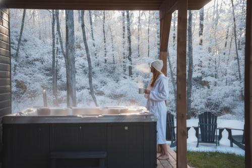 Bellaria with Private Spa, Ski iarna