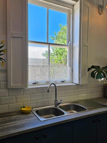 a kitchen counter with a sink and a window at Under the Maple in Rawsonville