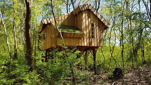 a tree house in the middle of the woods at Boomhut XXL in Hoogersmilde