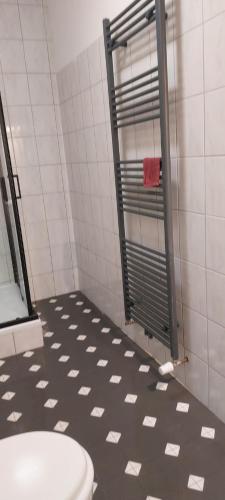 a bathroom with a shower with a toilet in it at tillis ferienwohnung teschendorfersee 17094 burgstargard in Musiker Siedlung