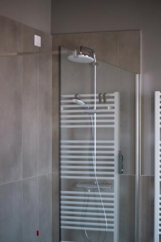 a shower with a shower head in a bathroom at Tower Triple Suite - 3 min walk to Bernina Express in Tirano