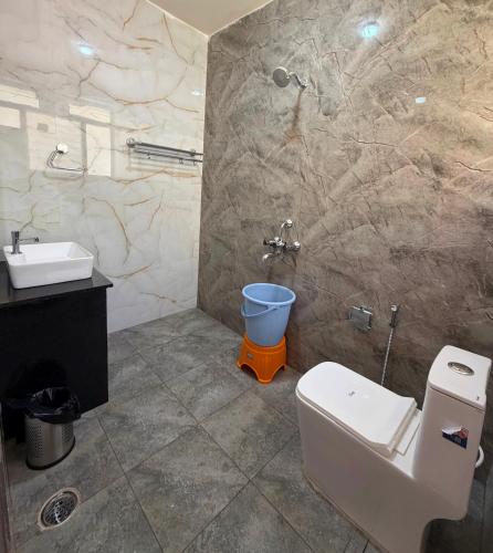 a bathroom with a toilet and a sink at Hosamane Farm Inn in Sringeri