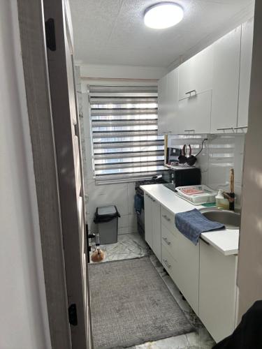 une cuisine avec des placards blancs et un chat assis par terre dans l'établissement Apartament Târg Craciun, à Craiova