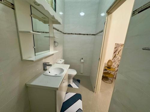 a small bathroom with a sink and a toilet at La maison blanche in Macouria