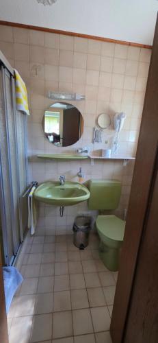 a bathroom with a green sink and a toilet at Hotel - Pension Wendland in Wintrich