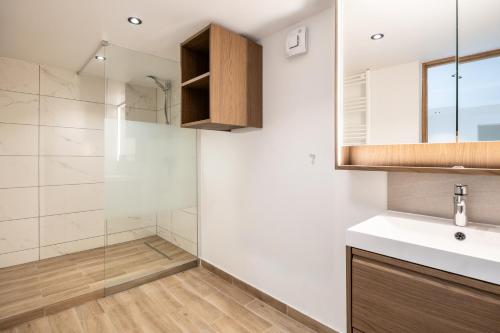 a bathroom with a sink and a shower at Le Havre de la Forêt in Dochamps