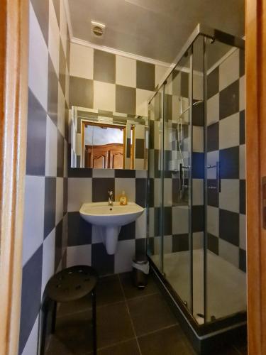 a bathroom with a sink and a shower at Chambre 1 , Maison d'Hôtes du Holley in Xivry-Circourt