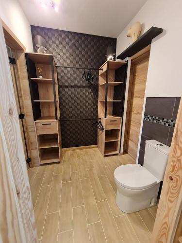 a bathroom with a toilet and some shelves at Chambre 1, La Perpontaise in Pierrepont