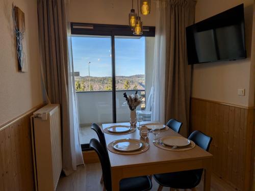 TV a/nebo společenská místnost v ubytování Juracîmes Appartements