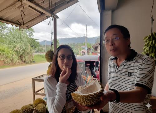 Hosté ubytování Hotel Galaxy