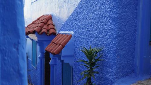 a blue building with a red roof and a plant at Dar Ouadie the pearl stay in Chefchaouen