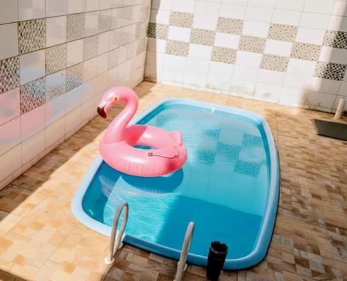 a pink swan toy in a pool in a bathroom at Villa Enseada - Charme e conforto a 650m da Praia da Enseada in Guarujá
