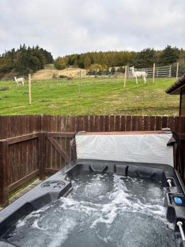 a hot tub in a fence with cows in a field at Woodpecker Lodge with Hot Tub in Cupar
