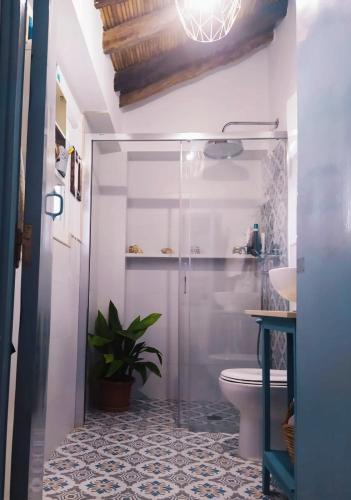 a bathroom with a shower and a toilet and a sink at Casa Lola in Benaocaz