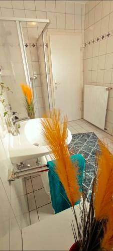 a bathroom with a sink and a mirror at Kahler Pőn in Willingen
