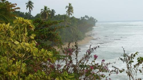 Φυσικό τοπίο κοντά σε αυτό το διαμέρισμα
