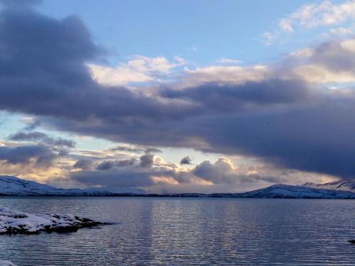 Naturlandskabet i nærheden af feriehuset