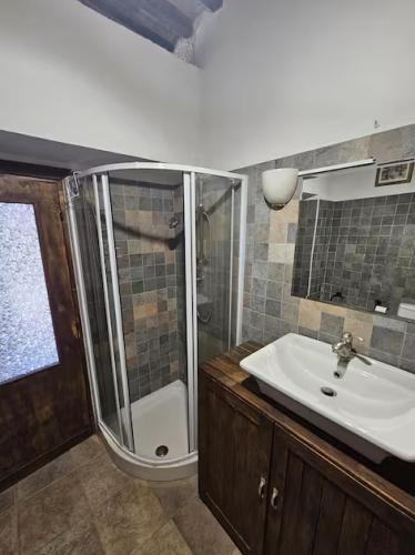 a bathroom with a shower and a sink and a toilet at La Casetta nella Roccia in Torricella Peligna