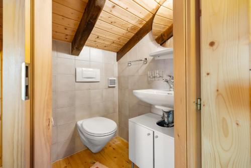 Phòng tắm tại Le Petiot - mini chalet - maxi douceur - 4personnes