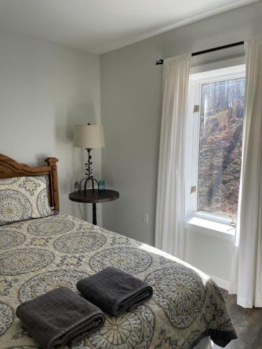 a bedroom with a bed with two pillows on it at Camp Carter Bunkhouse in Mathias