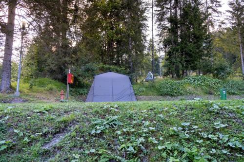 Foto dalla galleria di Campeggio Treinke Sauris a Sauris