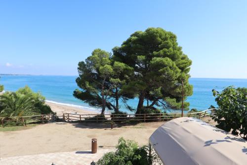 Fotografie z fotogalerie ubytování Paseo Miami v destinaci Miami Platja