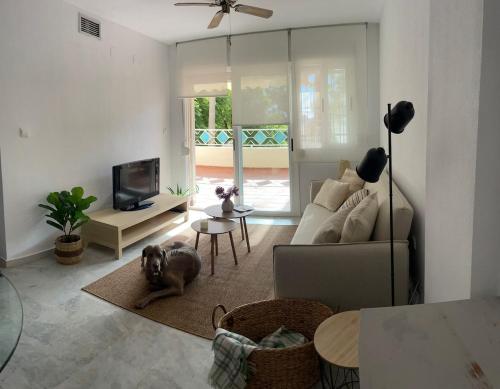Apartment MATEO BEACH